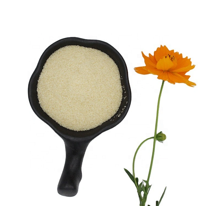 180-250 Bloom Bovine Gelatin for Food and Pharma