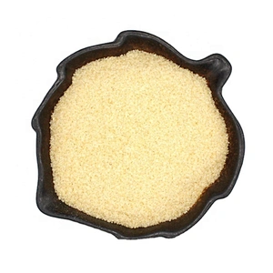 180-250 Bloom Bovine Gelatin for Food and Pharma